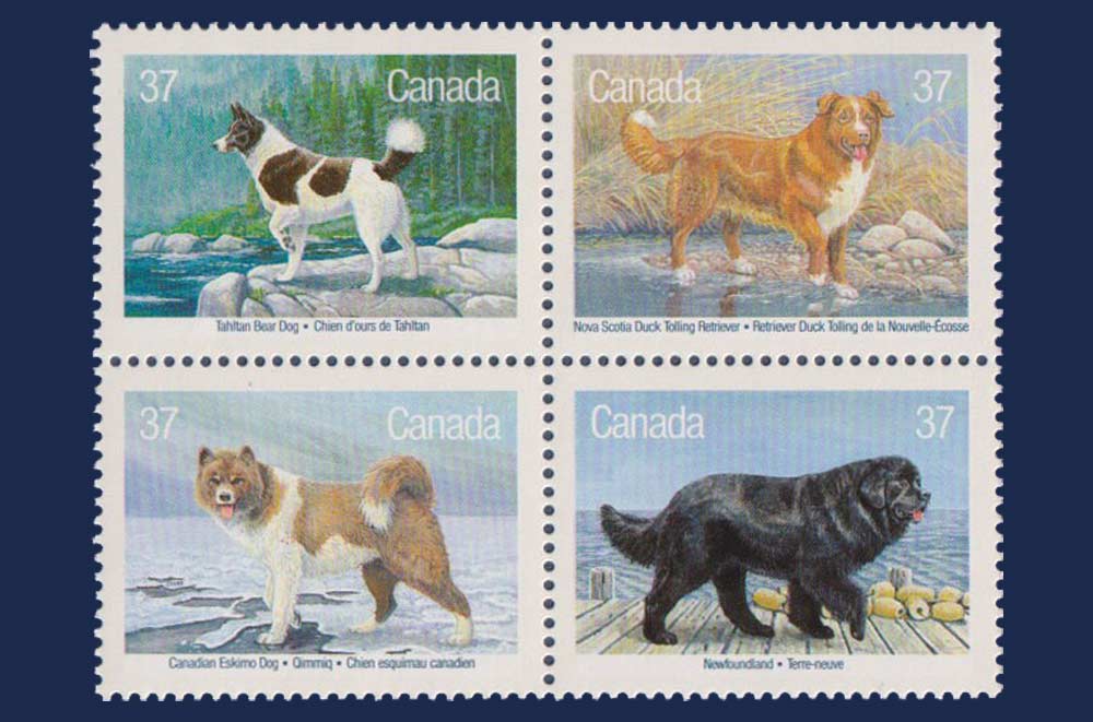 Dogs of Canada