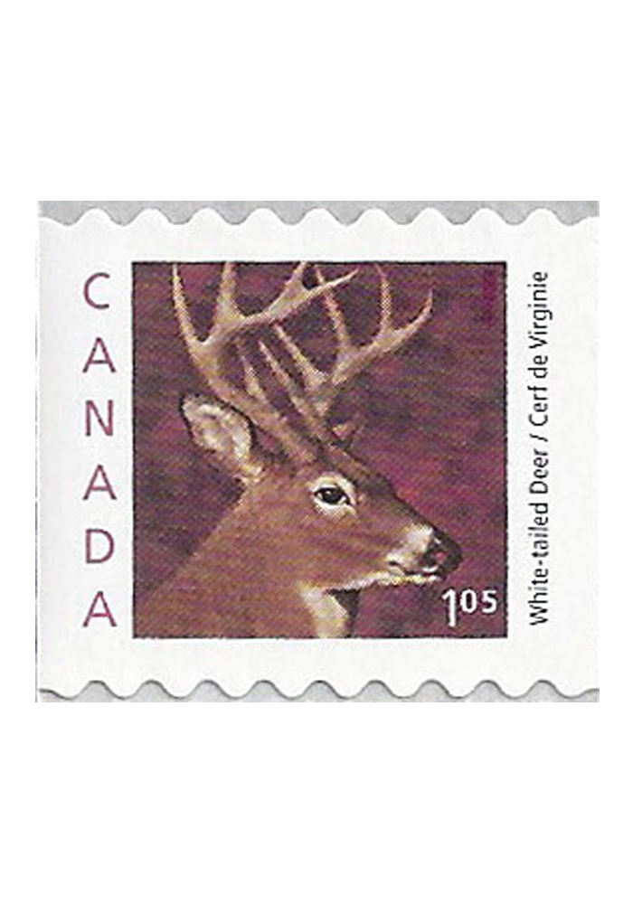 Medium-Value Wildlife Definitives