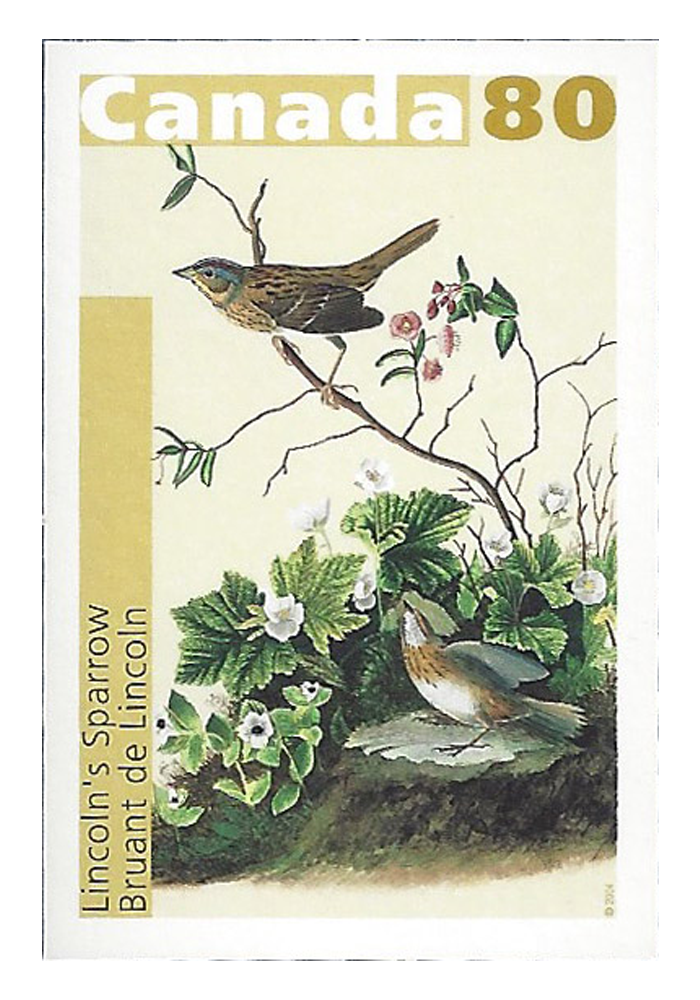 John James Audubon's Birds - 2
