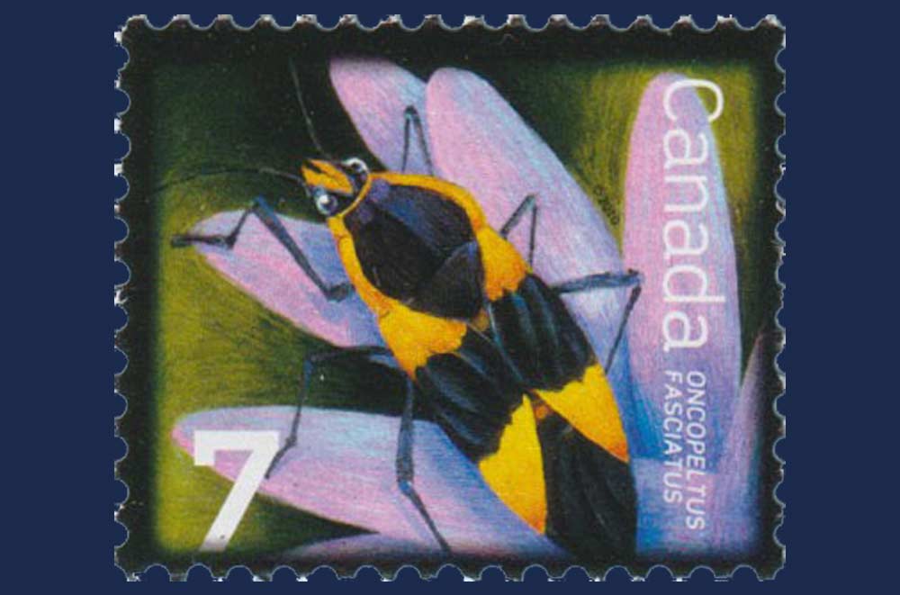 Beneficial Insects