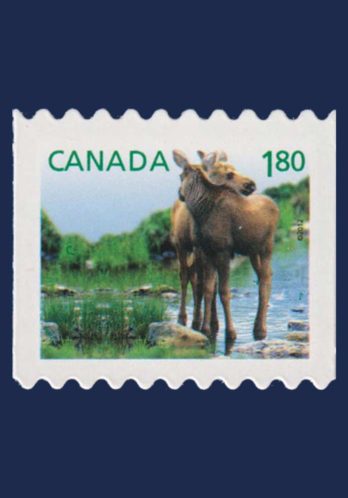 Baby Wildlife Definitives