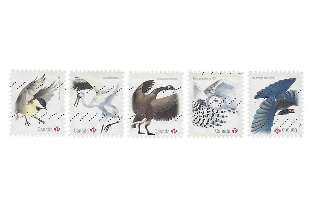 Birds of Canada - 3