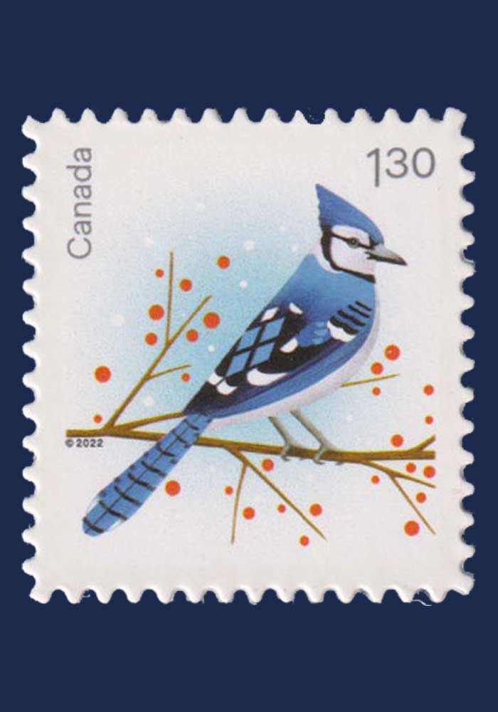 Christmas 2022 - Holiday Birds