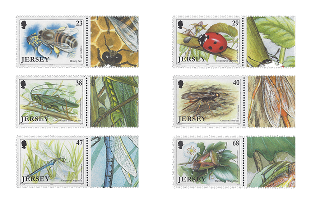 Insects