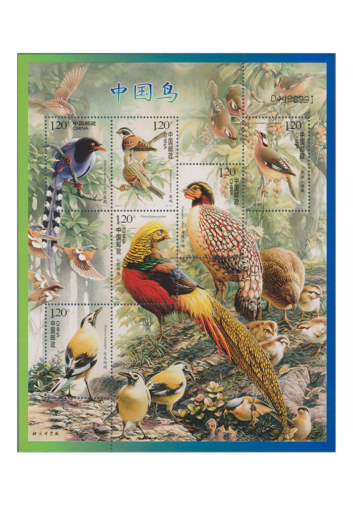 Birds of China