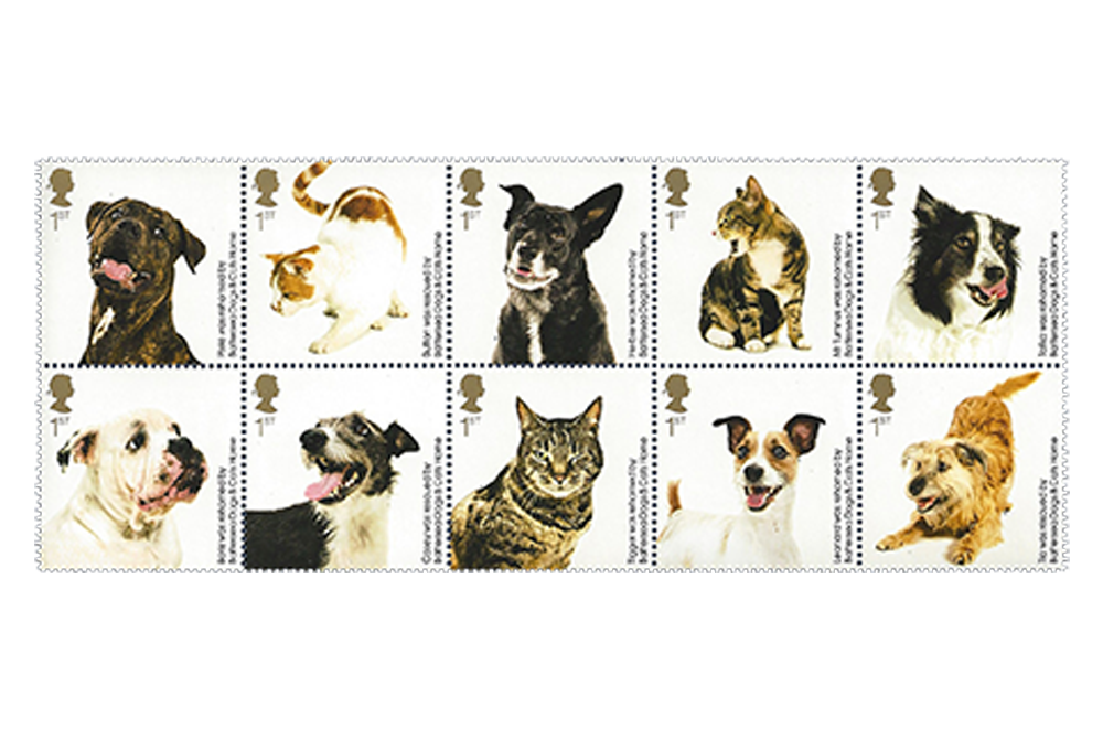 Battersea Dogs and Cats Home