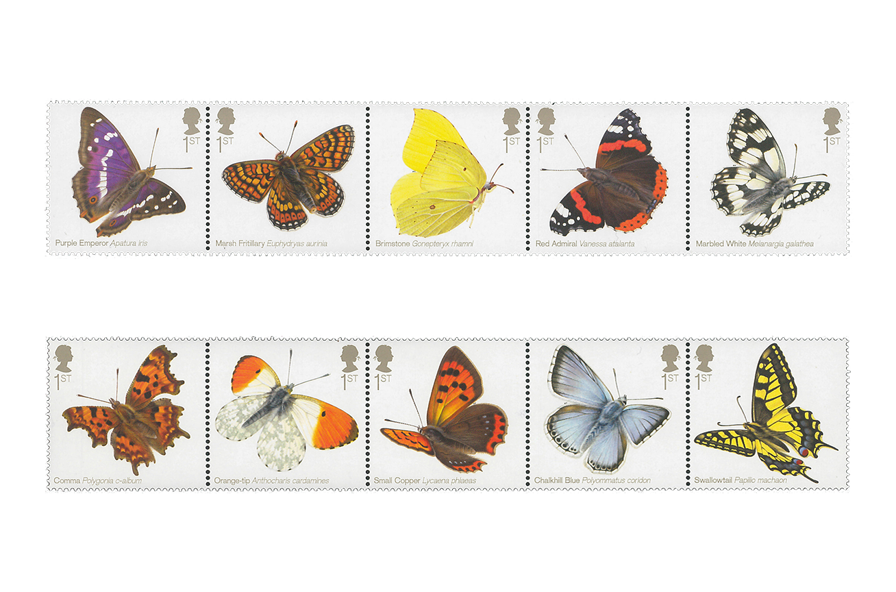 Butterflies