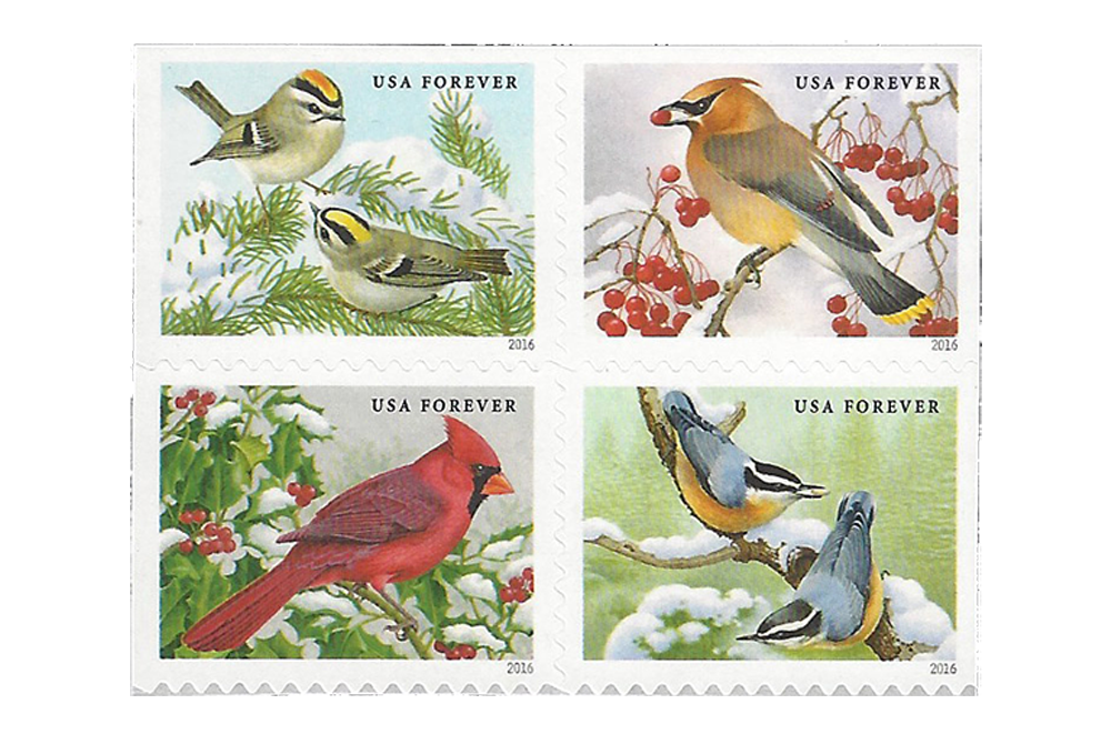 Songbirds in Snow
