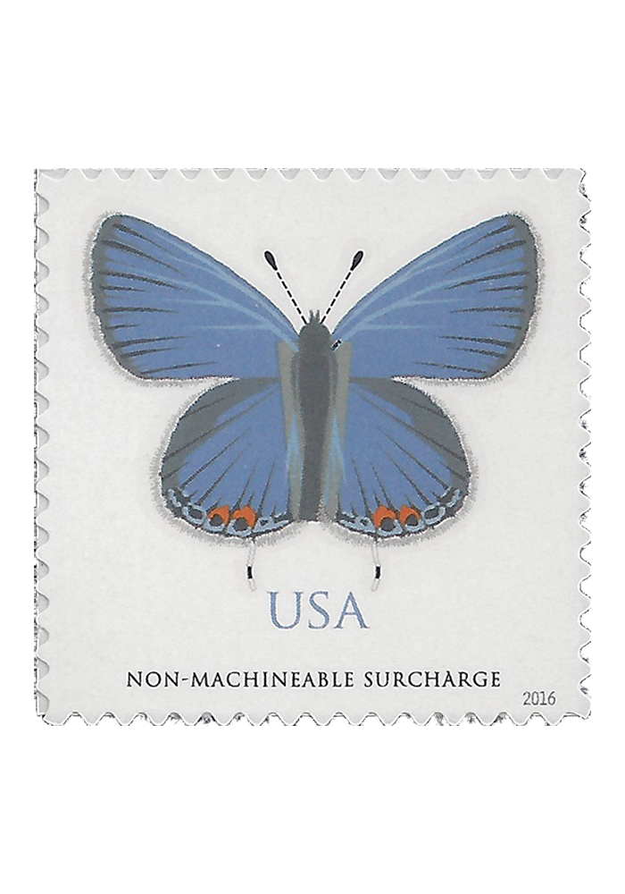 Eastern Tailed-Blue Butterfly